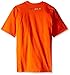 Carhartt Men's big-tall Men's Big and Tall Signature Logo Short Sleeve Midweight Jersey T Shirt Graphic