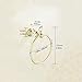 OWOFAN Crystal-Series Brass Towel Ring Glass Tissue Holder Wall Mounted,Gold Finished HK-23