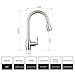 pH7174; WE7003 1-hole Brass 360 degree Pull-down Kitchen Sink Faucet with Magnetic Sprayer; 1- handle Kitchen Faucet; Excellent Finish, Nylon Hose, and Docking System, Brushed Nickel