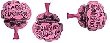 PlayO Whoopee Cushion Prank Toys 3 Pack - Fart Prank Gag TM