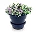 Self Watering + Self Aerating High Drainage Deep Reservoir Round Planter Pot, Maintains Healthy Roots and Moisture, for Indoor & Outdoor & Window Gardens (6 Inch / 1.5 Quart, Blue)