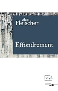 Effondrement par Alain Fleischer