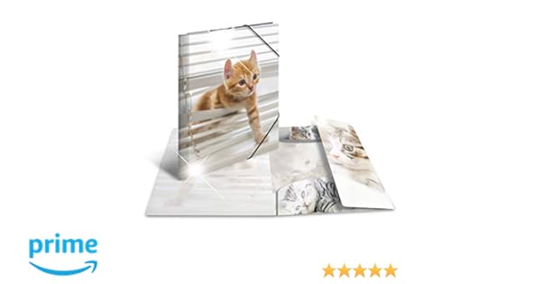 shiba inu características