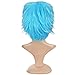 Ecvtop Wigs for Mens' Death Note Male Short Hair Wig Costume Cosplay Wigs (Sky Blue)