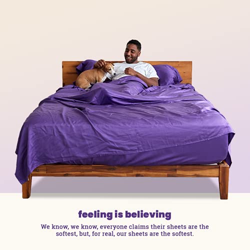 Sheets & Giggles 100 Eucalyptus Lyocell Bed Linen Set, Naturally