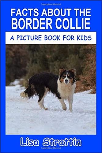 border collie good with kids