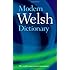 Modern Welsh Dictionary: A guide to the living language