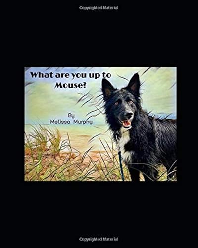 Download What are You up to Mouse? PDF