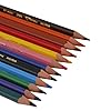 BIC Kids Evolution ECOlutions, Triangular Colouring Pencils, Ideal for School, Assorted Colours, Pack of 12
