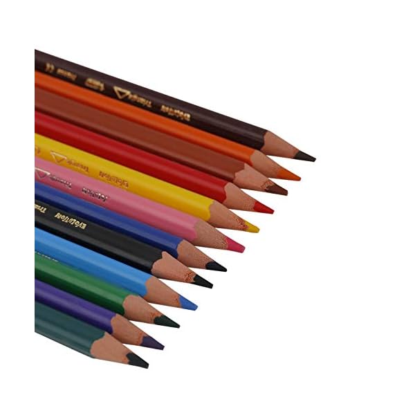 BIC Kids Evolution ECOlutions, Triangular Colouring Pencils, Ideal for School, Assorted Colours, Pack of 12