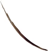 Revlon ColorStay Semi-Permanent Brow Ink Dark Brown 3-Day Wear Long Lasting view 3