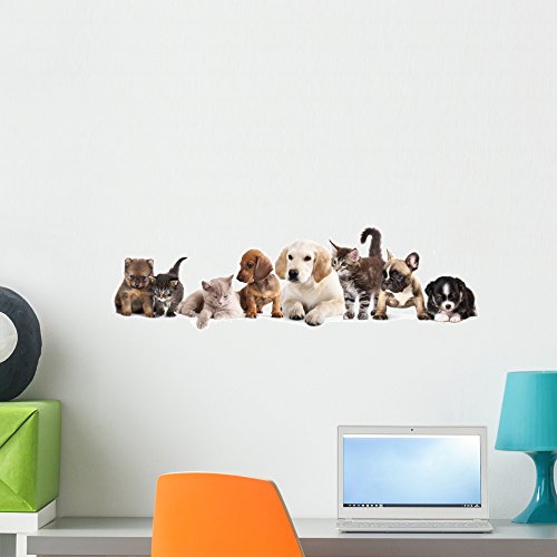 Dog Wall Decals Kritters in the Mailbox Dog Wall Decal