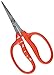 Chikamasa B-500sf Stainless Steel Scissors w/ Fluorine Coating (Resin-resistant) primary