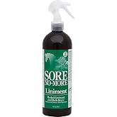 Sore No More Liniment Bottle with Sprayer (16-Ounce)