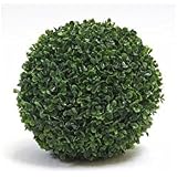 Plante en pot extérieur