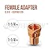 Everflow Supplies CCFA0125 Female Adapter Fitting with C X F Connections, 1-1/4