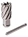 Slugger by Fein HSS Annular Cutter with Pilot Pin for Precision Drilling - High-Durability Steel, 1