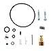 USPEEDA Carburetor Carb Rebuild Repair Kit for 7 8 9 10 HP 632347 632622 Tecumseh HM70 HM80 HM9 HH100 HMSK OHM120 OHV125 OVM120 HHM80 VH100 TVXL195 OHSK120 TVM195 TVM220 TVXL195 TVXL220