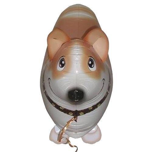 Walking Balloon Dog - Corgi - 54cm by BWS