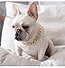 TUOKAY Iced Out Gold Dog Collar Gold Chain for Dog Costume Chain Bling Big Dog Necklace Chain Miami Cuban Necklace for Dog Cat (20mm Thick) (Gold Dog Collar Cuban Chain)