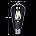 Vintage LED Light Bulb,Oak Leaf 6W ST64 Antique Style Edison Bulb LED Light 60W Equivalent,700lm,5000K,Daylight,E26 Screw Base,Pack of 6