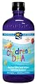Children's DHA Liquid 4 Oz, Nordic Naturals