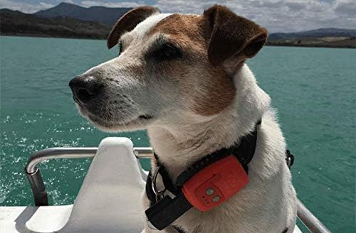 dog tracker nano amazon