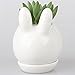 NCYP Indoor White Ceramic Flower Pot Garden Tabletop Kawaii Small Miniature Rabbit Bunny Planter Pot for Succulent Cactis with Tray 3.93 inches Sculpture (No Plants)