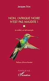 Non, l'Afrique noire n'est pas maudite !