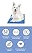 The Green Pet Shop Chillz Gel Mat, Extra Large - Pressure-Activated Cooling Pad for Pets Over 50 lbs - Non-Toxic, No Water or Refrigeration Needed - Ideal for Home, Travel & Crates