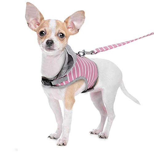 Transser Dog and Cat Universal Harness with Leash Set, Escape Proof Cat Harnesses, Adjustable Cat Vest Harness with Reflective Soft Harnesses, Best Pet Supplies, for Kitten Puppy (XS, Pink)