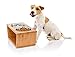Pawfect Pets Elevated Dog Bowl Stand- 7