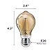 Philips LED Amber Glass A19 Dimmable Vintage Filament Light Bulb: 350-Lumen, 2000 Kelvin, 4.5-Watt (60-Watt Equivalent) E26 Base, Amber, 1-Pack