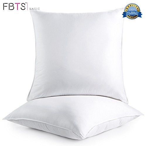 Pillow Inserts 18 x 18 Square 2-Pack Sham Stuffer Premium Hypoallergenic Form Polyester for Decorative Cushion Indoor Sofa and Bed Pillows by FBTS Basic