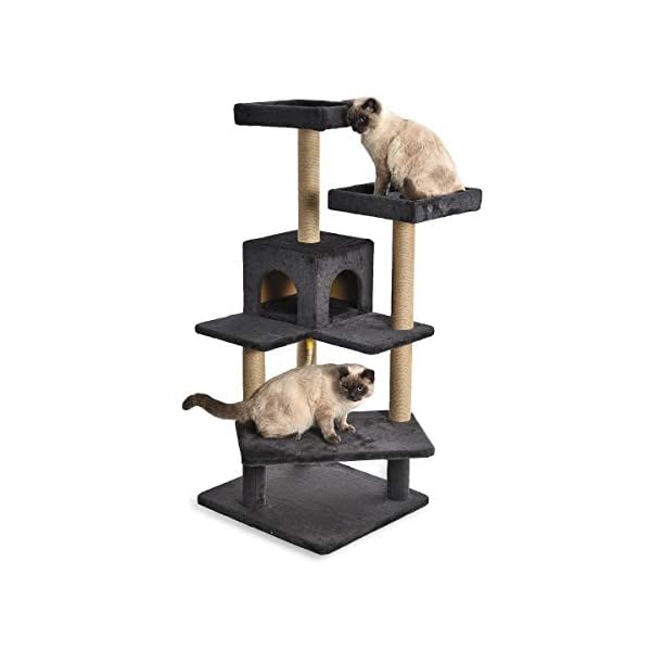 amazonbasics cat tree