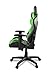 Verona V2 Advanced Racing Style Gaming Chair with High Backrest, Recliner, Swivel, Tilt, Rocker & Seat Height Adjustment, Lumbar & Headrest Pillows Included, Green - PC/Mac/Linux