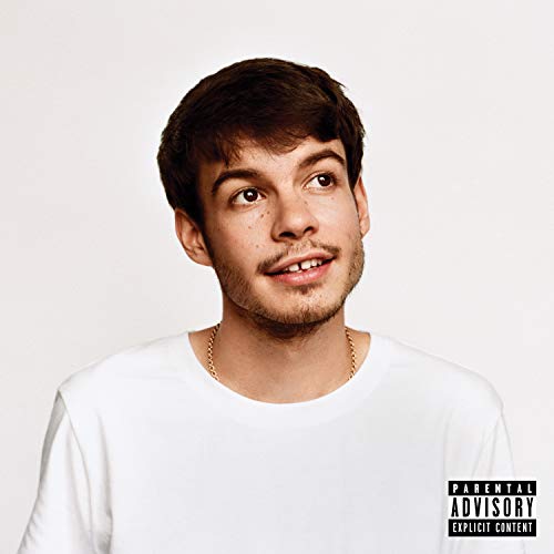 Album Art for Pony by Rex Orange County