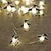 Brooklyn Lighting Company 12 Foot LED Wire Lights Strip with 36 Penguin Shaped Bulbs Battery Operated String Lights (12FT, Penguin)