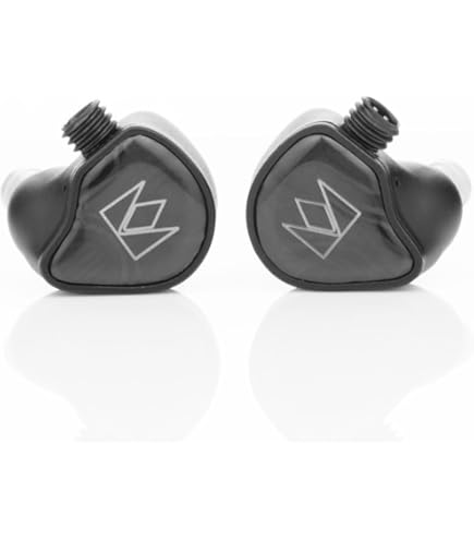 Amazon.com: Noble Falcon-ANC Headphones Wireless Earbuds High