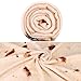 JISUSU Burritos Tortilla Blanket,Tortilla Warmer Blanket Realistic Soft Plush Comfort Round Food Blanket for Boys Girls Adults,Giant Human Taco Blanket-Diameter 60 inches …