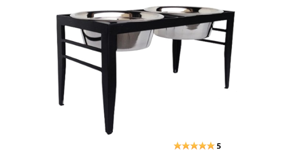 best dog feeding station