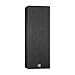 BIC America FH6-LCR Dual 6.5-Inch 175-Watt LCR Speaker with Mid/High Frequency Hornthumb 3