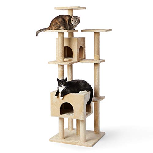 Amazon Basics Large Cat Condo Tree Tower with Dual Caves And Scratching