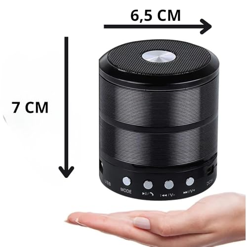 Mini Caixinha de Som Bluetooth Portátil WS-887 USB SD Rádio FM – Mini Speaker Envio Sortido