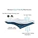 Waterproof Pack N Play Mattress Cover/Protector - 100% Organic Tencel Surface Playard Mattress Cover for Mini & Portable Crib Mattress, Ultra Soft, White.