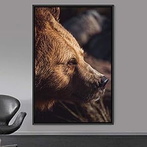 signwin Framed Canvas Wall Art Bear Animals Bear...