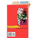 Dragon Ball After Volume 1