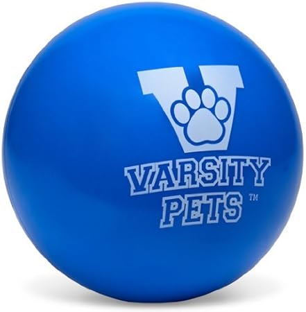 varsity ball dog toy