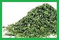 100% Organic Red Clover Dried Herb ~ 1 Ounce Bag ~