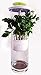 Glass Herb Keeper - Anti-leakage fresh herb container - Free paleo recipe eBook - Herb storage holder keeps herbs fresh and green for up to 2 Weeks